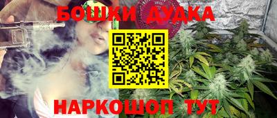 шишки Бузулук